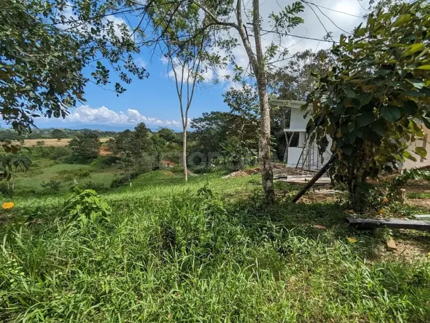 Prodej pozemku pro bydlení, Puerto Jiménez, Kostarika, Calle Los Pollos, 8924 m2