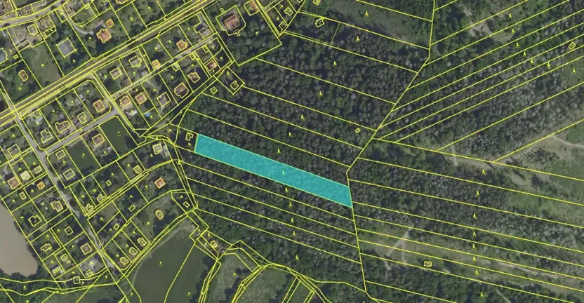Prodej lesa, Lštění, 4810 m2