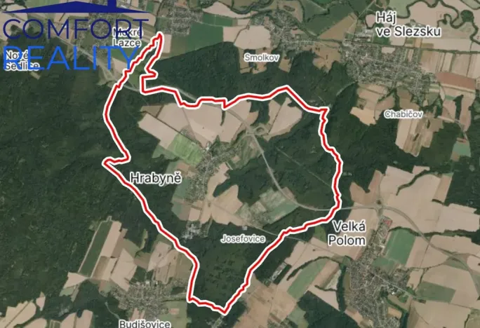 Prodej lesa, Hrabyně, 4993 m2