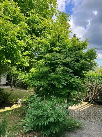 Prodej rodinného domu, Praha - Břevnov, Haberfeldova, 189 m2