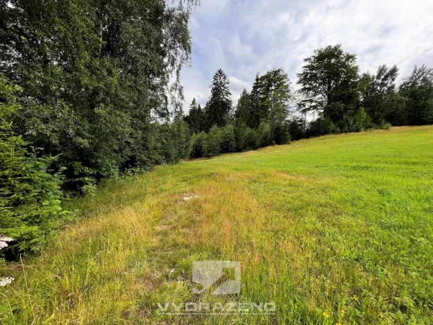 Prodej louky, Lučany nad Nisou, 618 m2