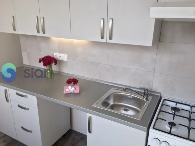 Pronájem bytu 2+1, Ostrava - Hrabůvka, Plzeňská, 53 m2