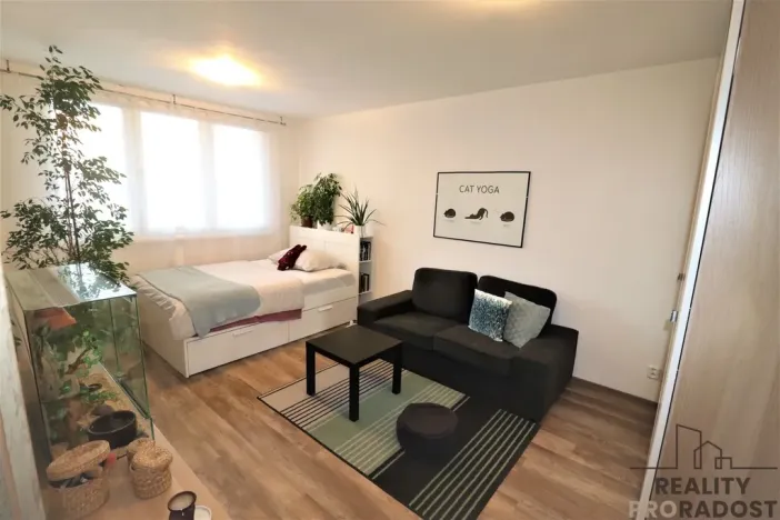 Pronájem bytu 1+1, Ostrava - Moravská Ostrava, Petra Křičky, 40 m2