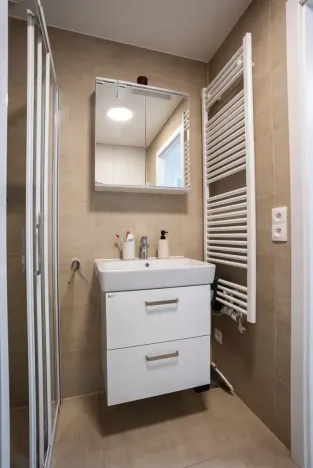 Pronájem bytu 1+kk, Praha, 30 m2