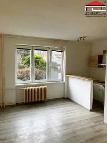 Pronájem bytu 1+kk, Ostrava - Hrabůvka, Krakovská, 22 m2