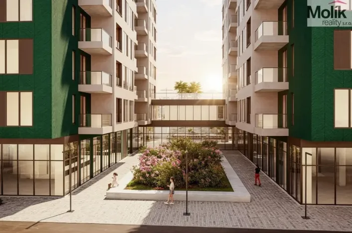 Prodej bytu 1+kk, Golem, 30 m2