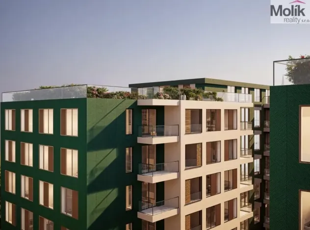 Prodej bytu 2+kk, Golem, 42 m2