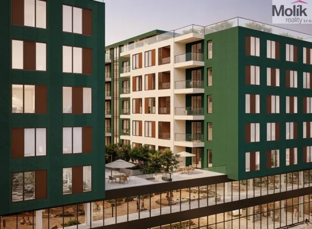 Prodej bytu 2+kk, Golem, 42 m2