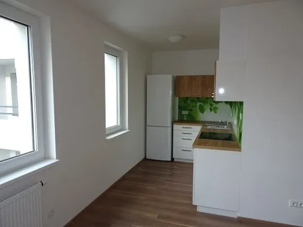 Pronájem bytu 1+kk, Pardubice - Zelené Předměstí, Bratranců Veverkových, 33 m2