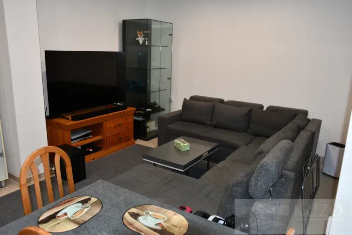 Pronájem bytu 2+kk, Plzeň, Dvořákova, 53 m2