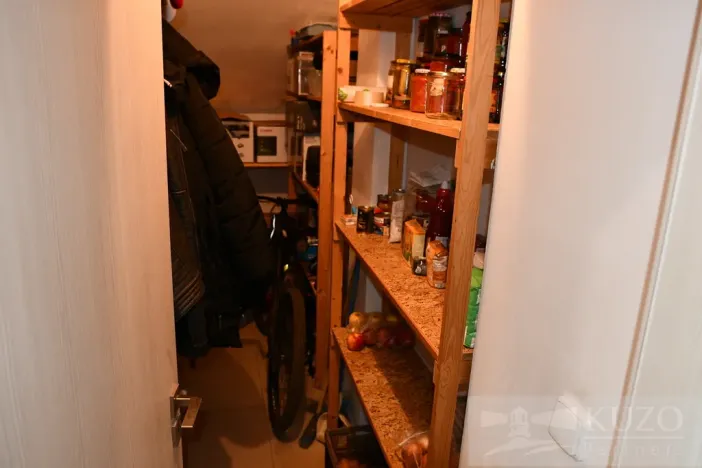 Pronájem bytu 2+kk, Plzeň, Dvořákova, 53 m2