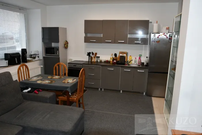 Pronájem bytu 2+kk, Plzeň, Dvořákova, 53 m2