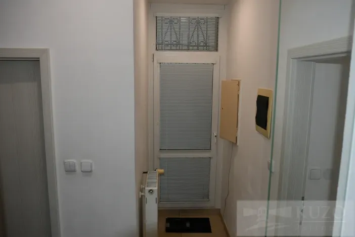 Pronájem bytu 2+kk, Plzeň, Dvořákova, 53 m2