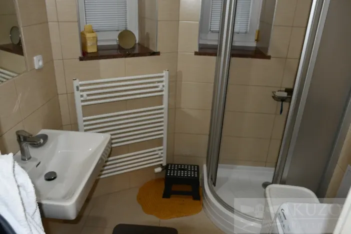 Pronájem bytu 2+kk, Plzeň, Dvořákova, 53 m2