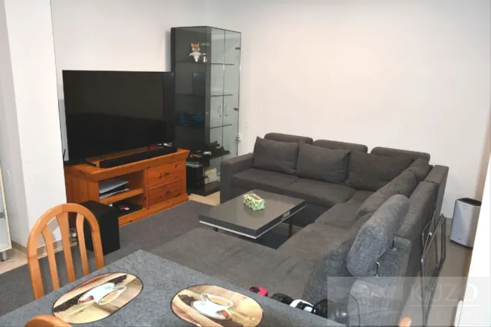 Pronájem bytu 2+kk, Plzeň, Dvořákova, 53 m2