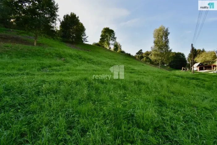 Prodej pozemku pro bydlení, Police nad Metují, U Lesovny, 6515 m2