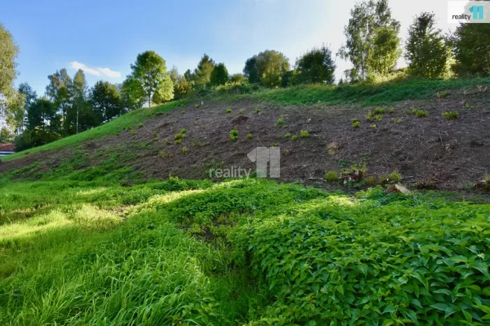 Prodej pozemku pro bydlení, Police nad Metují, U Lesovny, 6515 m2