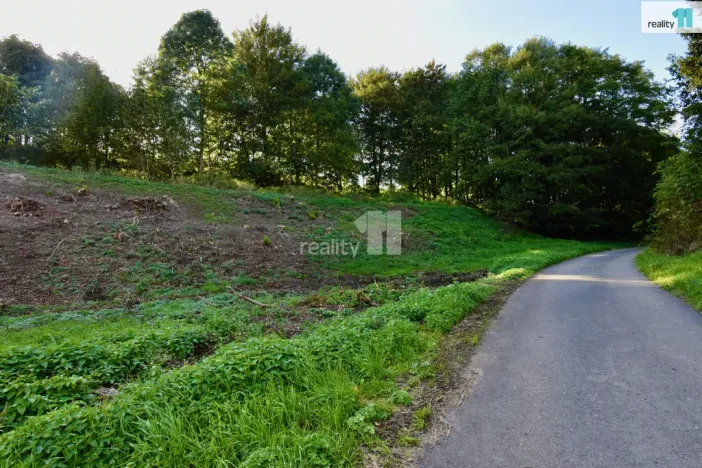 Prodej pozemku pro bydlení, Police nad Metují, U Lesovny, 6515 m2