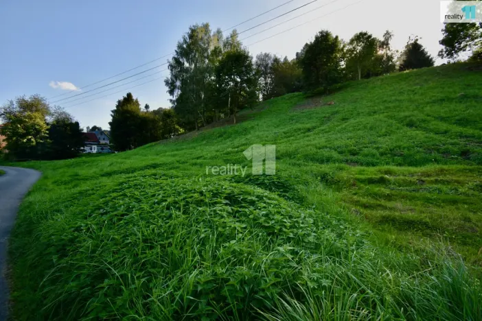 Prodej pozemku pro bydlení, Police nad Metují, U Lesovny, 6515 m2