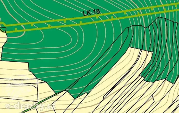 Dražba lesa, Chotýšany, 21423 m2