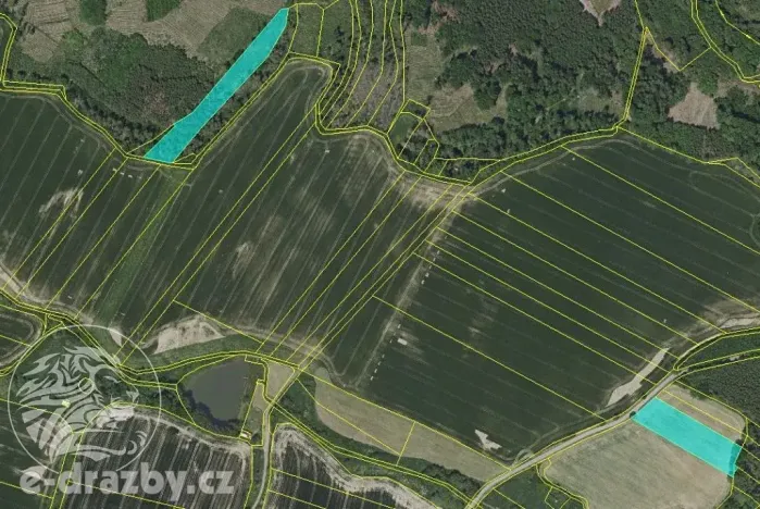 Dražba lesa, Chotýšany, 21423 m2