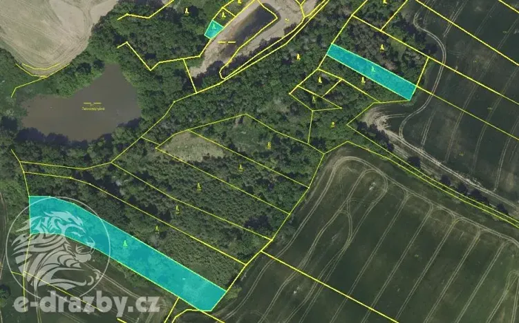 Dražba lesa, Chotýšany, 21423 m2