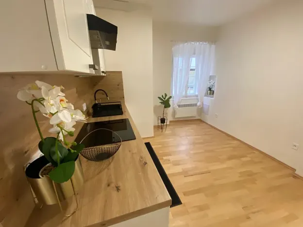 Prodej bytu 2+1, Praha - Staré Město, Náprstkova, 73 m2