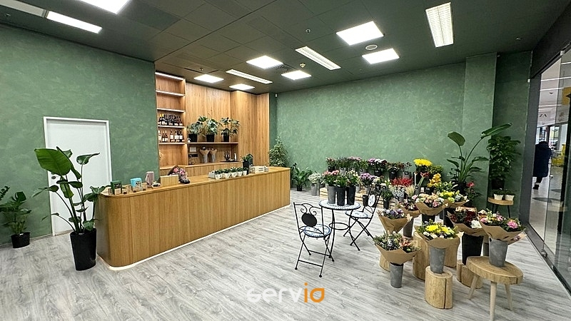 Pronájem obchodního prostoru, Brno, náměstí Svobody, 65 m2