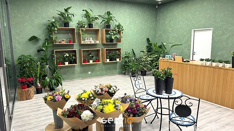 Pronájem obchodního prostoru, Brno, náměstí Svobody, 65 m2