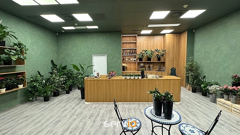 Pronájem obchodního prostoru, Brno, náměstí Svobody, 65 m2