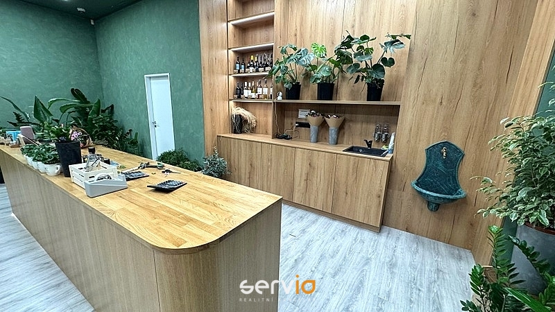 Pronájem obchodního prostoru, Brno, náměstí Svobody, 65 m2