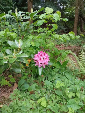 Prodej rodinného domu, Drslavice, 86 m2