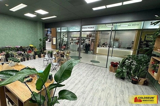 Pronájem obchodního prostoru, Brno - Brno-město, 64 m2