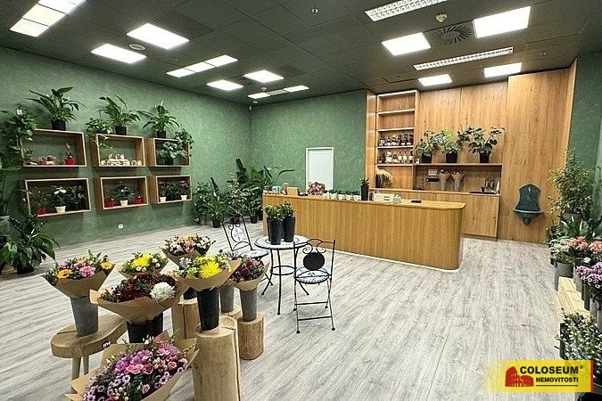 Pronájem obchodního prostoru, Brno - Brno-město, 64 m2