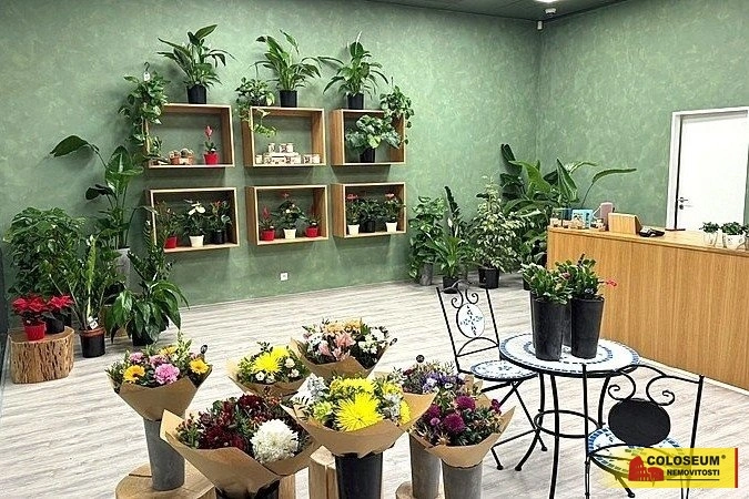 Pronájem obchodního prostoru, Brno - Brno-město, 64 m2