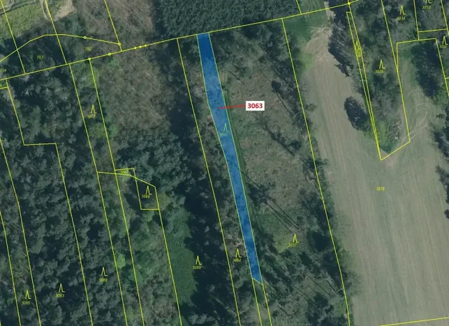 Dražba lesa, Koloveč, 703 m2