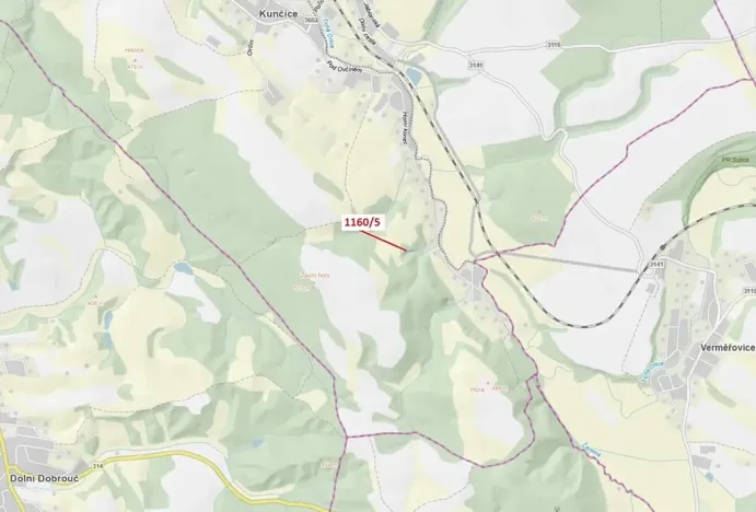 Dražba lesa, Letohrad, 282 m2