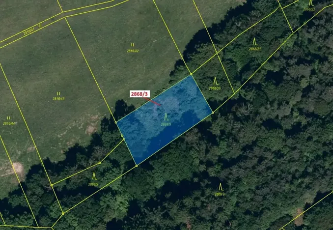 Dražba lesa, Píšť, 1321 m2