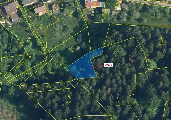 Dražba louky, Zlatá Olešnice, 438 m2