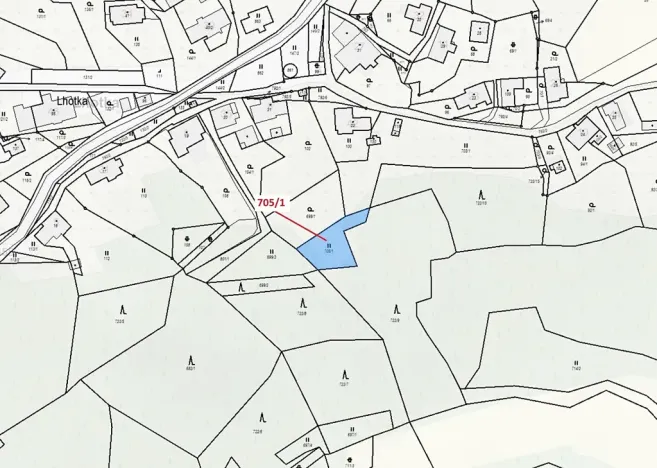 Dražba louky, Zlatá Olešnice, 438 m2