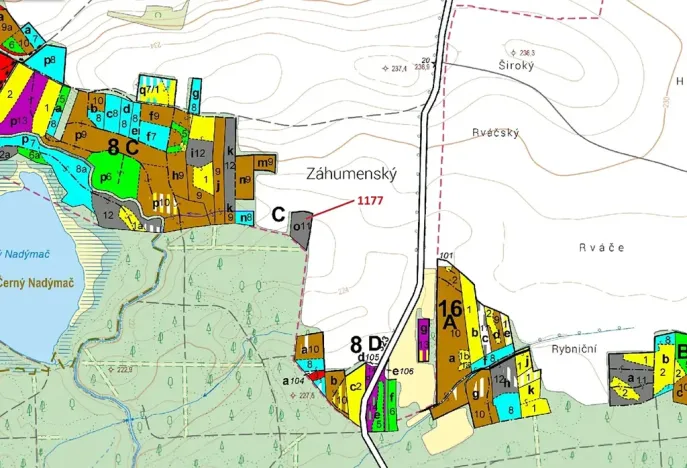 Dražba lesa, Vlčí Habřina, 4658 m2