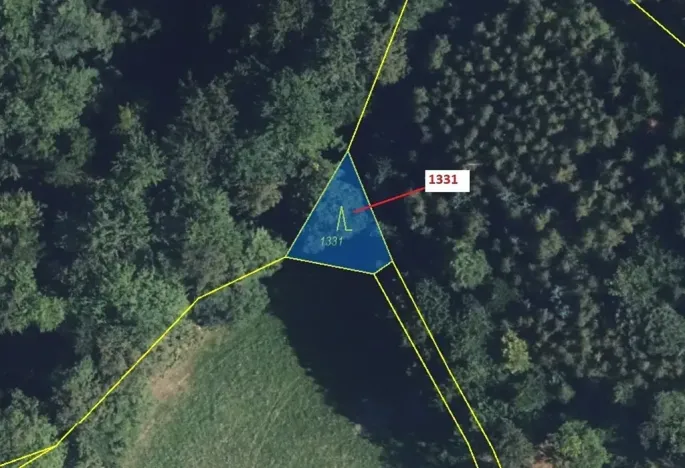 Dražba lesa, Kladky, 183 m2