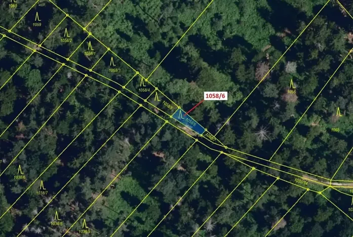 Dražba lesa, Veverské Knínice, 77 m2