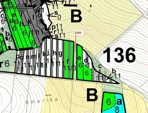 Dražba lesa, Hradčany-Kobeřice, 1221 m2