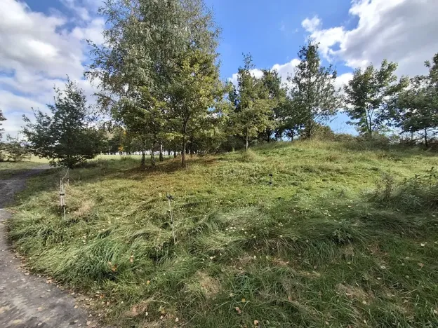 Prodej pozemku pro bydlení, Nový Kostel, 817 m2