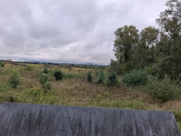 Prodej pozemku, Chodov, Nejdecká, 3546 m2