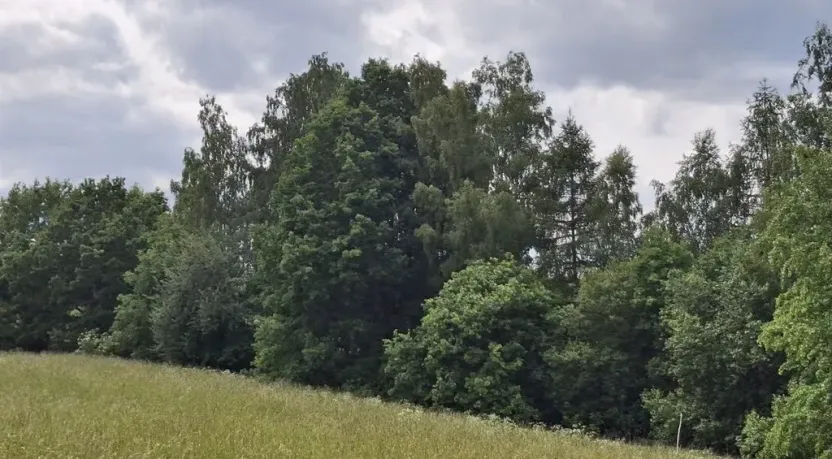 Prodej pozemku, Pomezí nad Ohří, 39941 m2