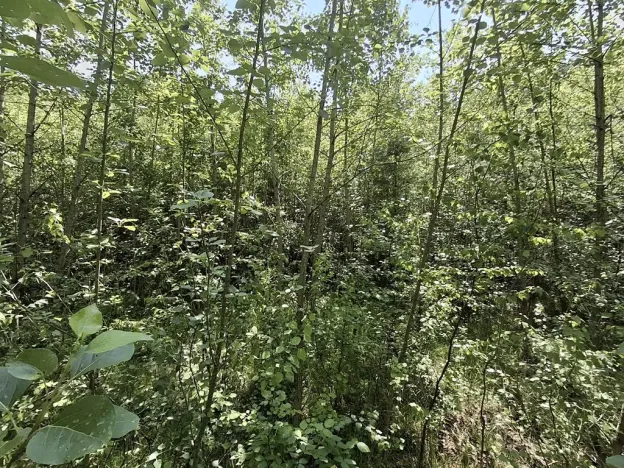 Prodej pozemku, Pomezí nad Ohří, 39941 m2