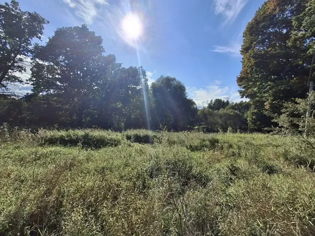 Prodej pozemku pro bydlení, Milíkov, 4644 m2