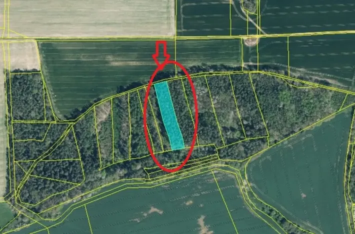 Prodej podílu lesa, Blížejov, 1818 m2